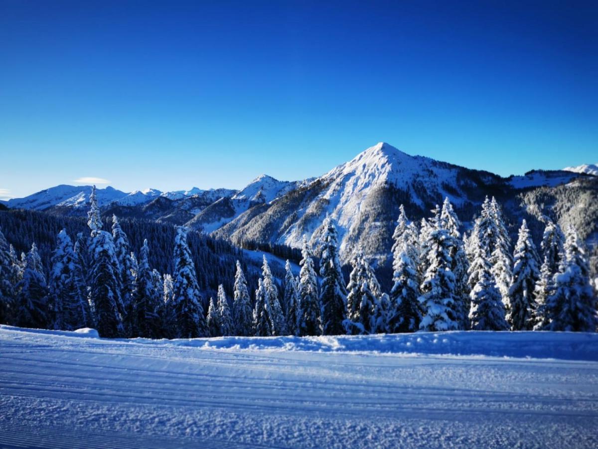 Appartements Haus Bergland Sankt Martin am Tennengebirge Exteriör bild