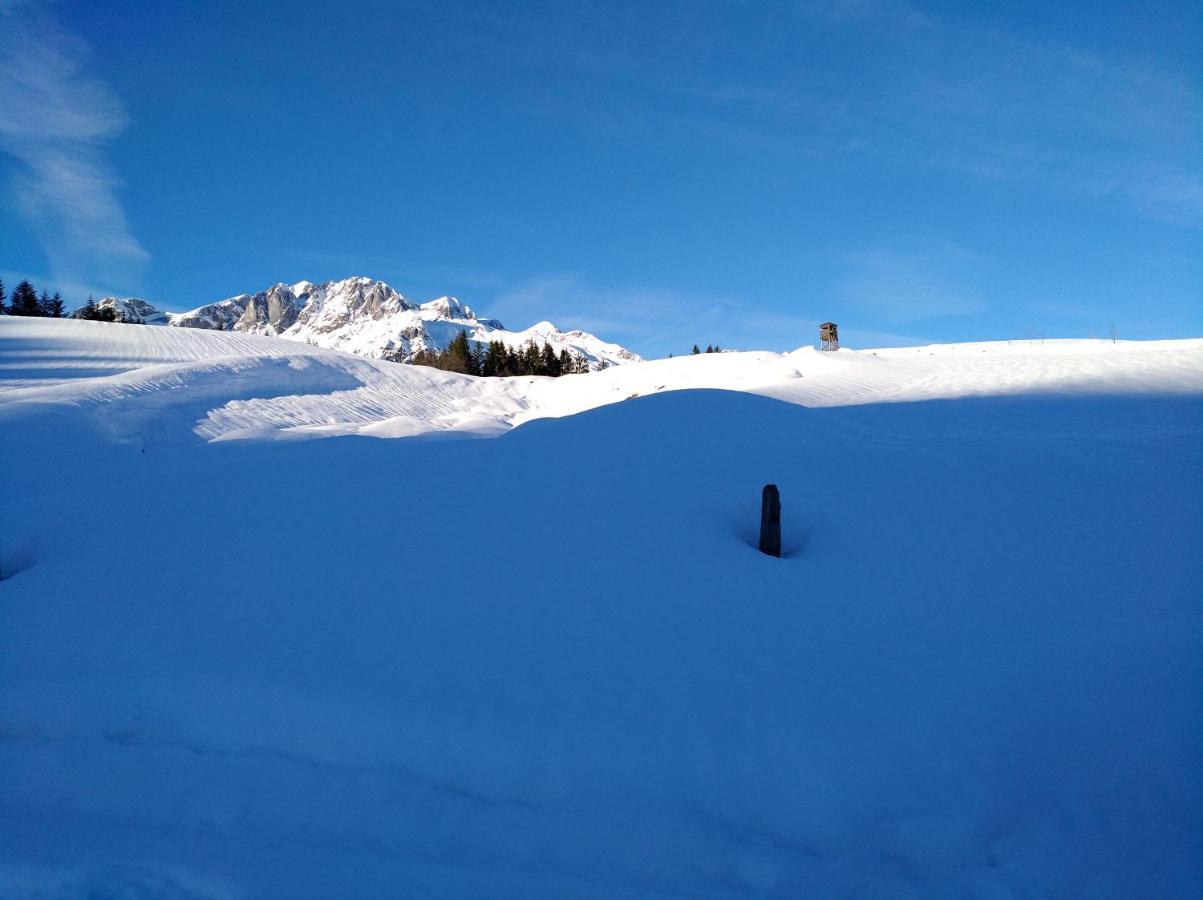 Appartements Haus Bergland Sankt Martin am Tennengebirge Exteriör bild