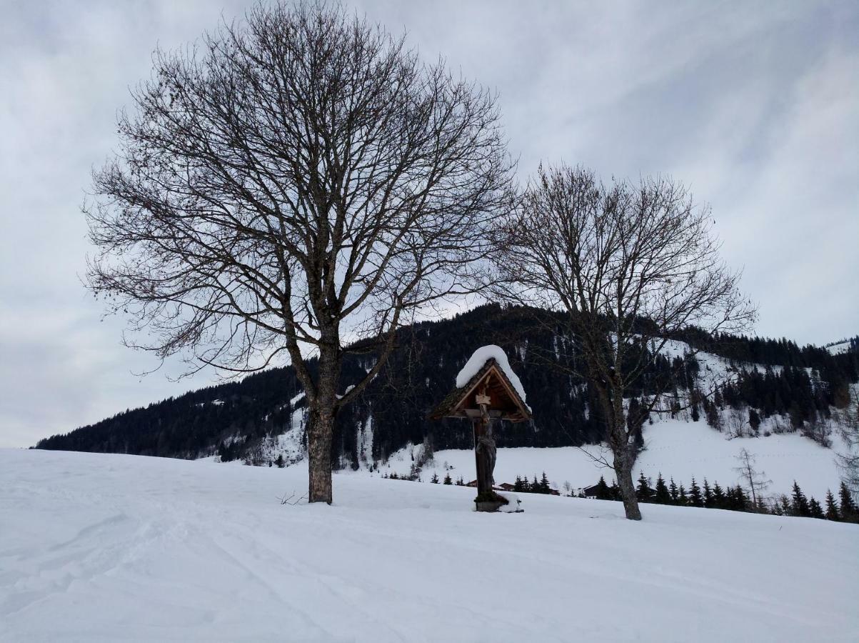 Appartements Haus Bergland Sankt Martin am Tennengebirge Exteriör bild